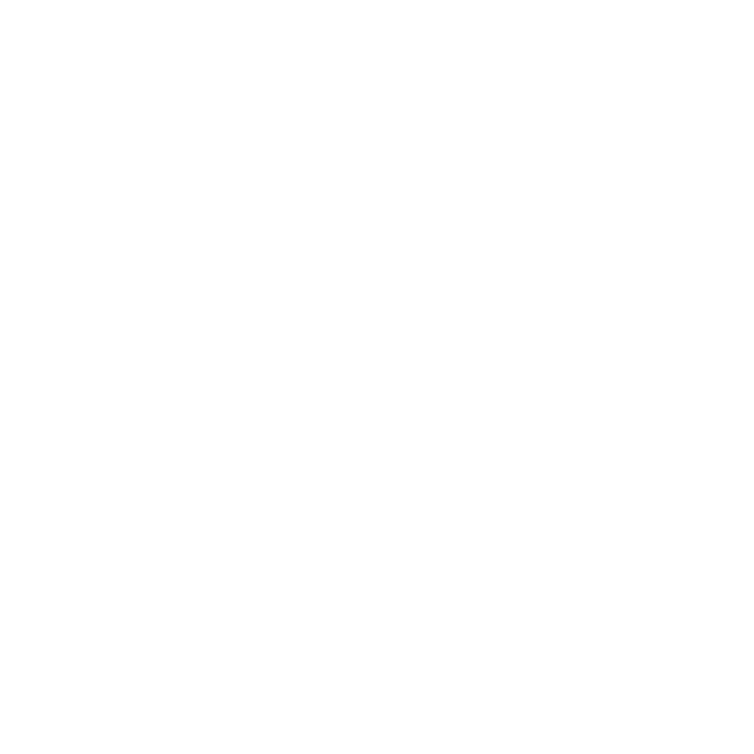 RCS CTF Logo